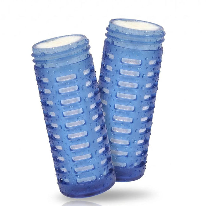 Replacement Filter Cartridges (2-Pack)
